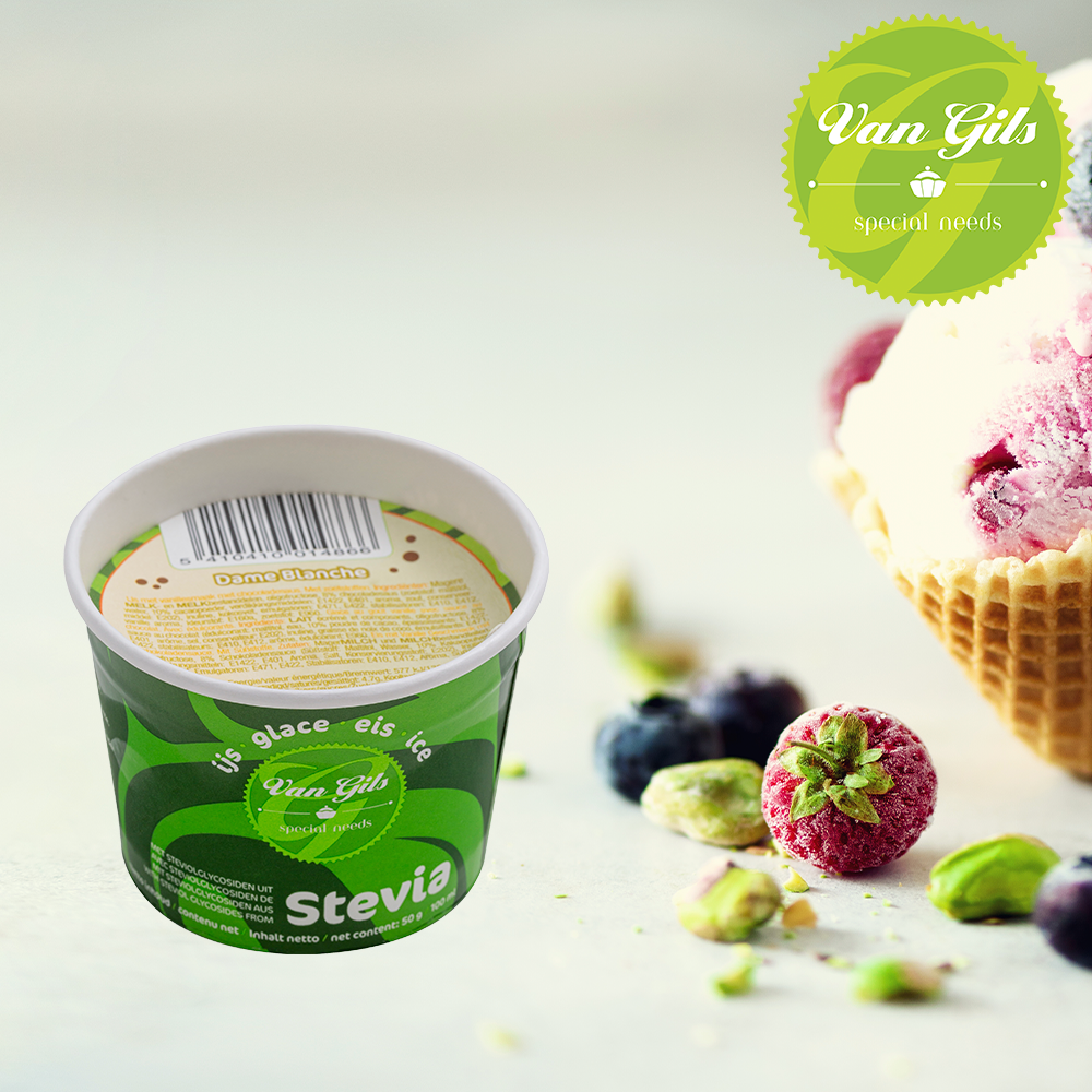 Dame Blanche Ijsbekers met Zoetstof