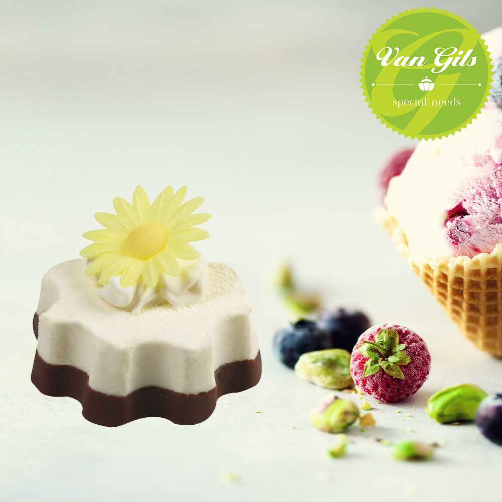 Mini Ijstaartje Vanille met Zoetstof