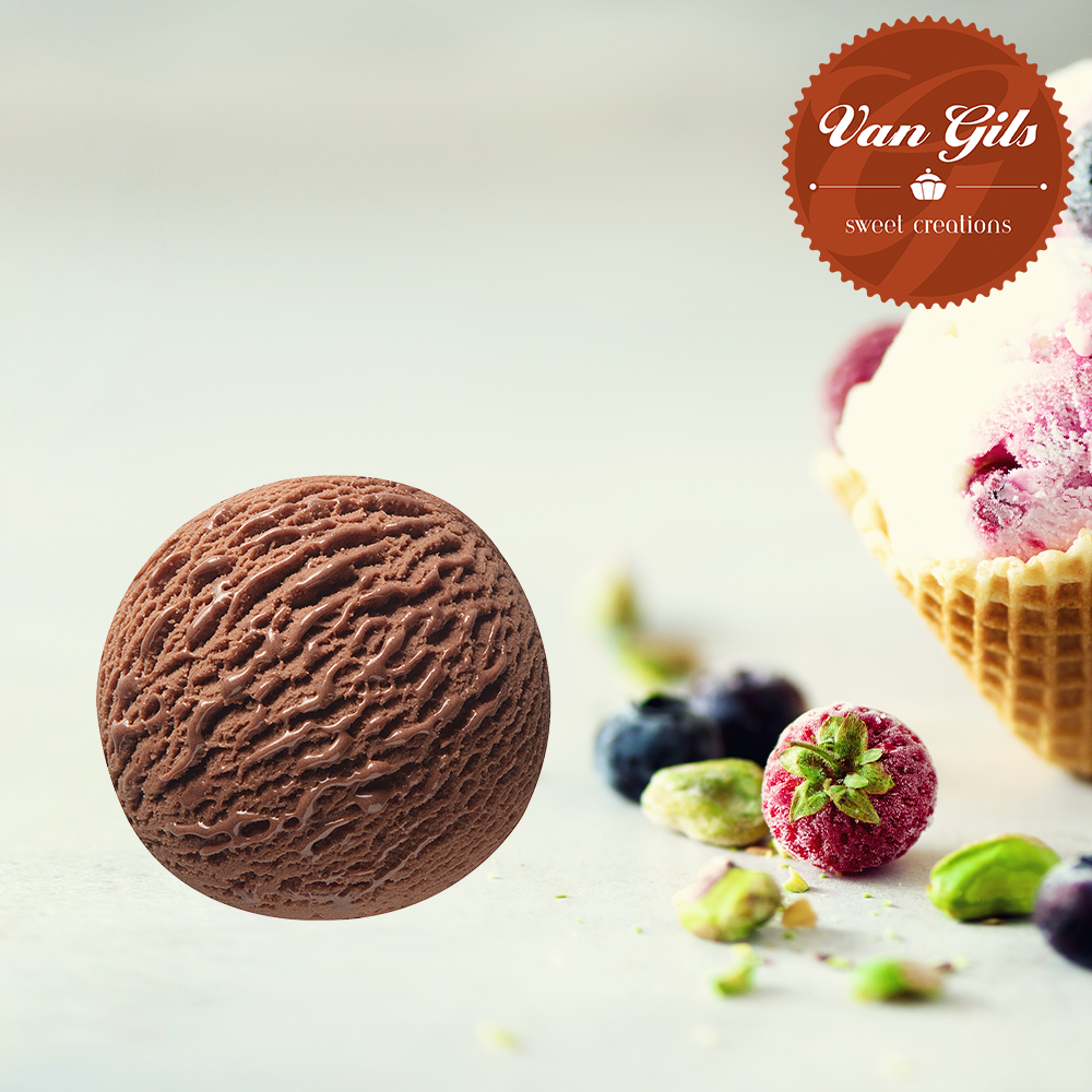 Chocolade Ijs